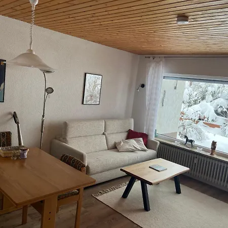 Apartment Cozy Condo, In And Out Todtnau