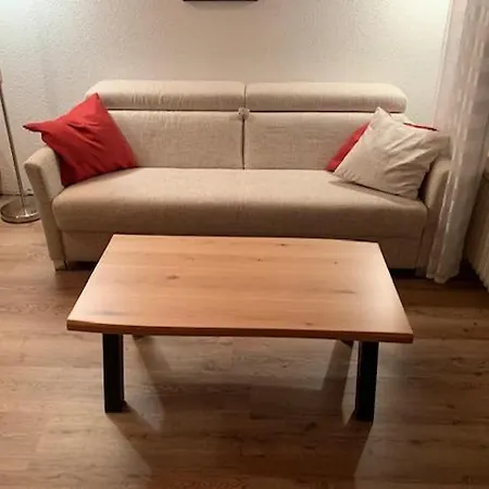 Cozy Condo, In And Out Todtnau