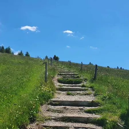 Cozy Condo, In And Out Apartamento