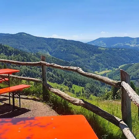 Cozy Condo, In And Out Todtnau