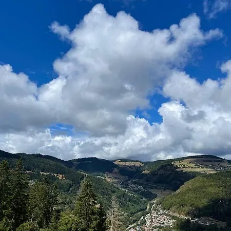 Apartamento Cozy Condo, In And Out Todtnau